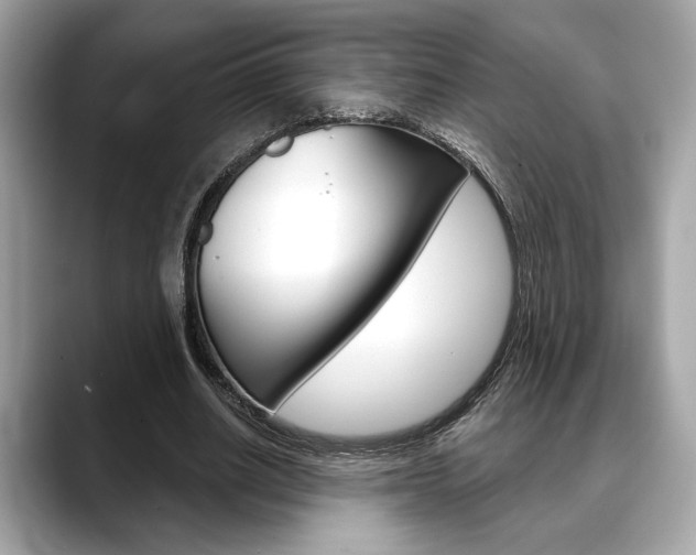 X0000088690630200705310958