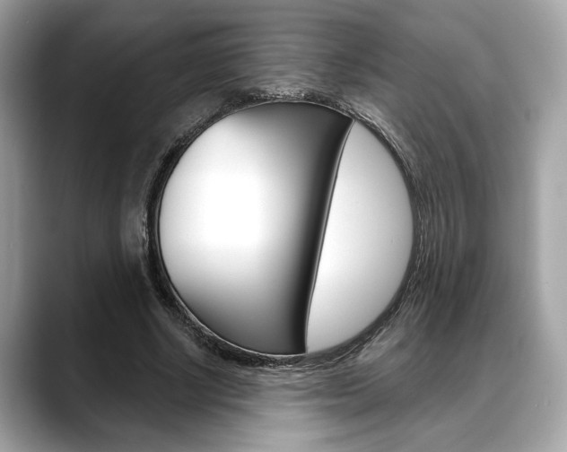X0000088690634200705310958