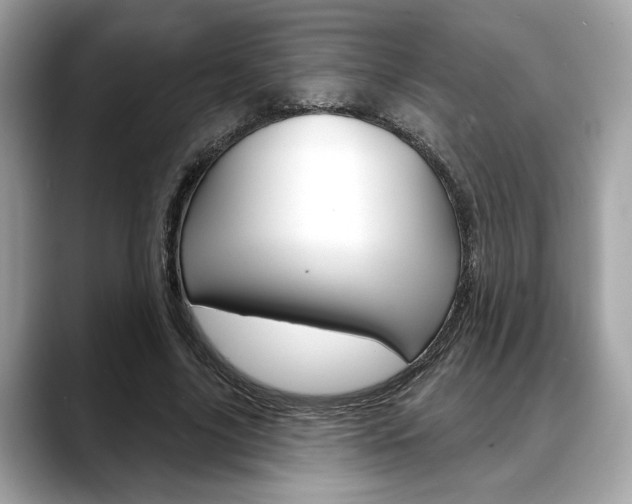 X0000088690635200705310958