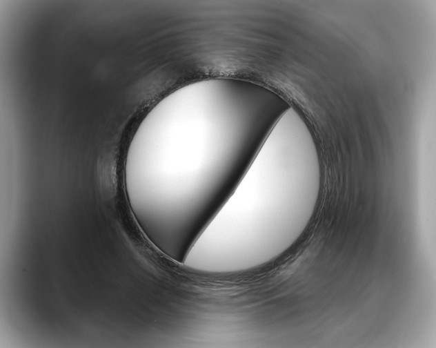 X0000088690638200705310959