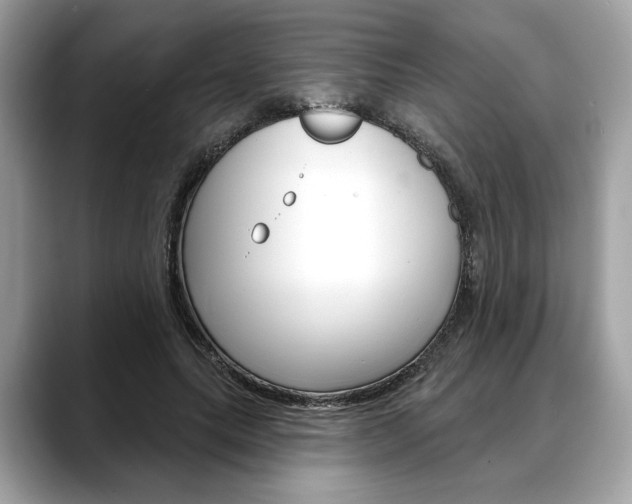 X0000088690639200705310959
