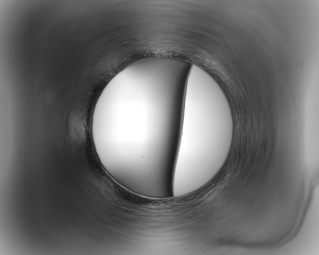 X0000088690644200705310959