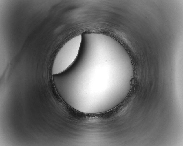X0000088690645200705310959