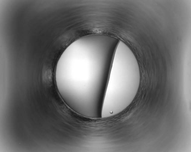X0000088690646200705310959