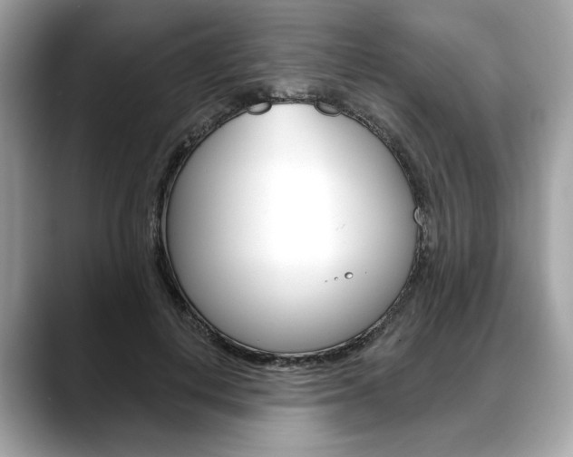 X0000088690648200705310959