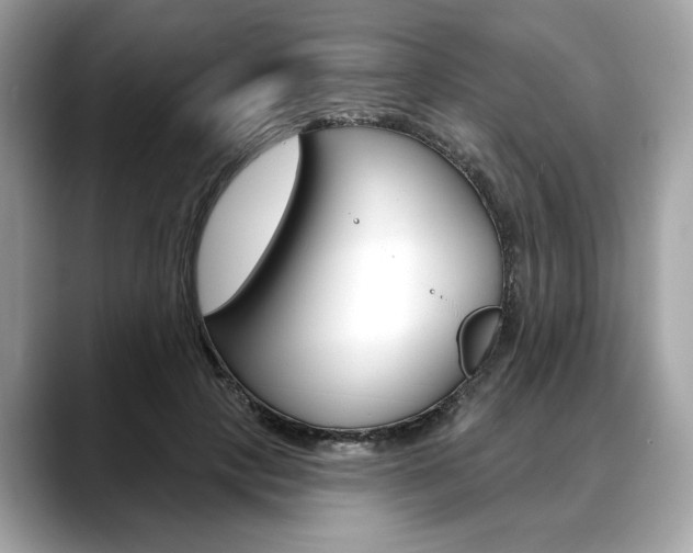 X0000088690649200705310959