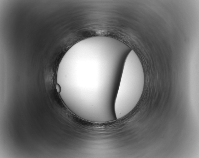 X0000088690650200705310959