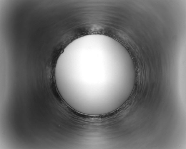 X0000088690654200705310959