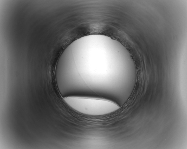 X0000088690655200705310959