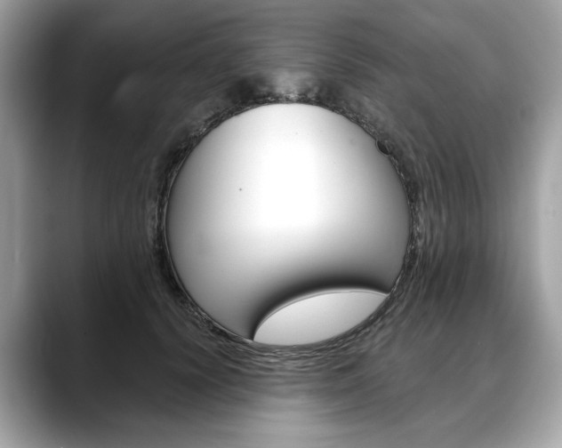 X0000088690656200705310959
