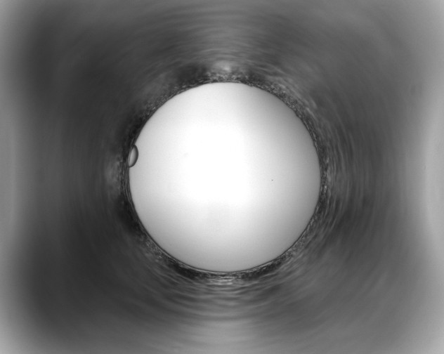 X0000088690659200705310959