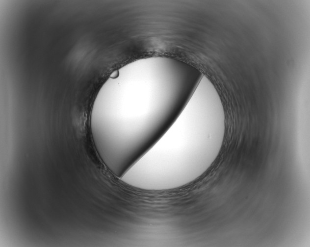 X0000088690660200705310959