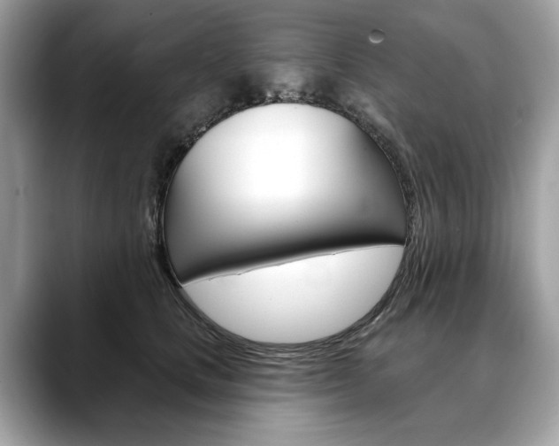 X0000088690661200705310959