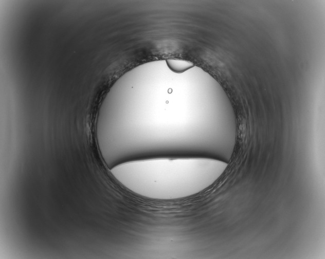 X0000088690662200705310959