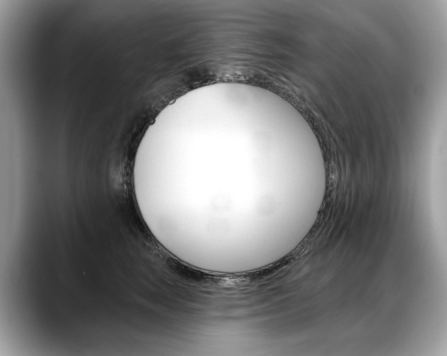 X0000088690663200705310959
