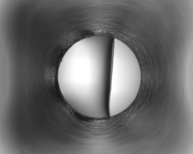 X0000088690664200705310959