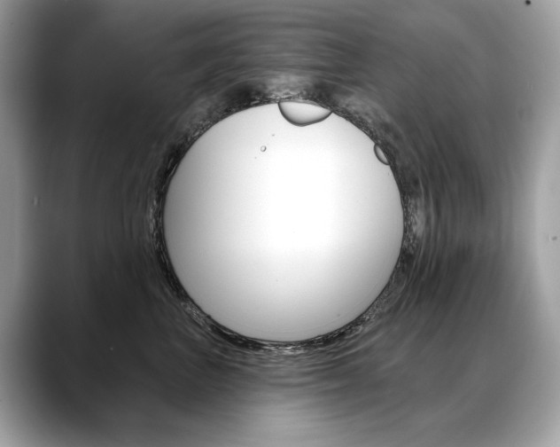X0000088690667200705310959