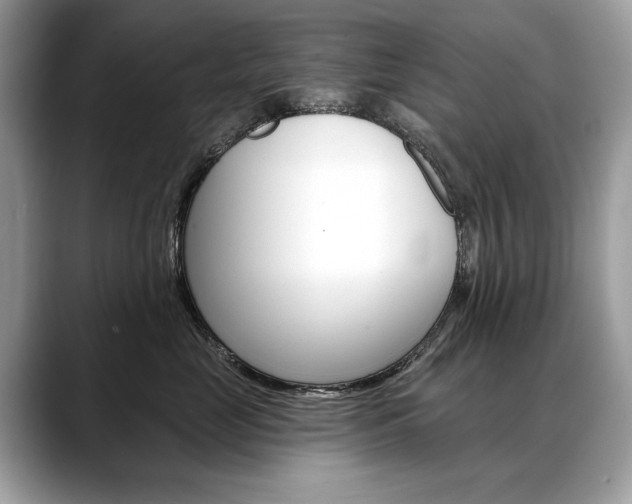 X0000088690669200705310959