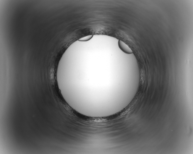 X0000088690670200705310959