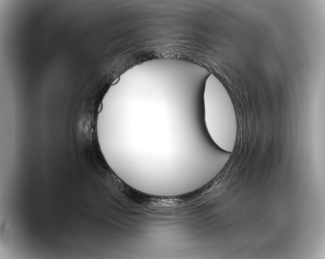 X0000088690671200705310959
