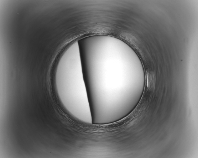 X0000088690675200705310958