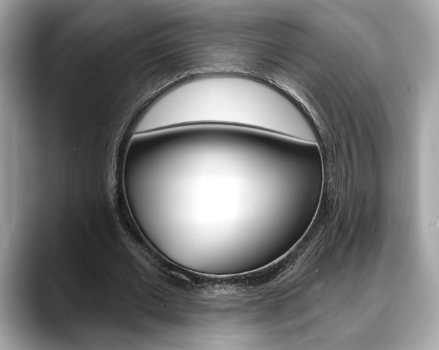 X0000088690677200705310958