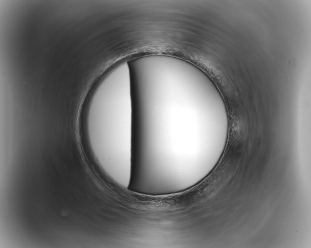 X0000088690678200705310958