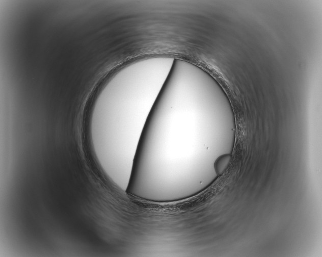 X0000088690679200705310958