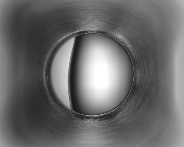 X0000088690680200705310958