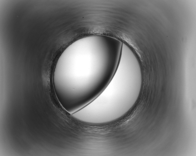 X0000088690681200705310958