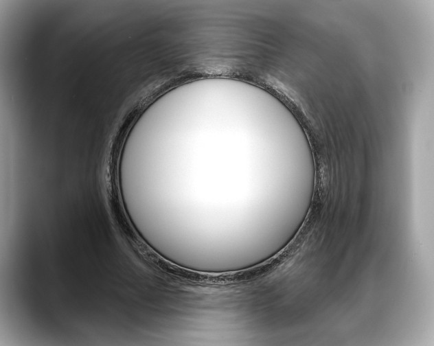 X0000088690682200705310958