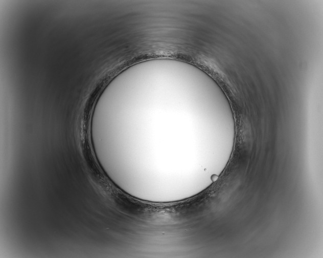 X0000088690683200705310958