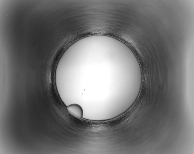 X0000088690686200705310958