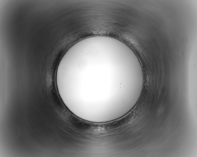 X0000088690687200705310958