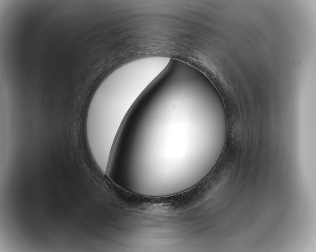 X0000088690689200705310958