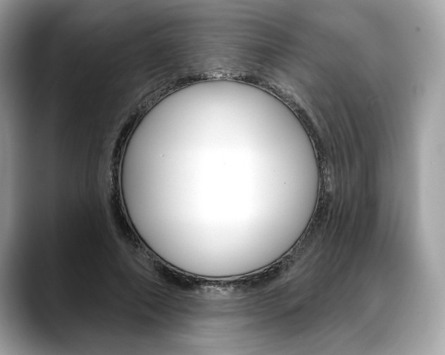 X0000088690690200705310958