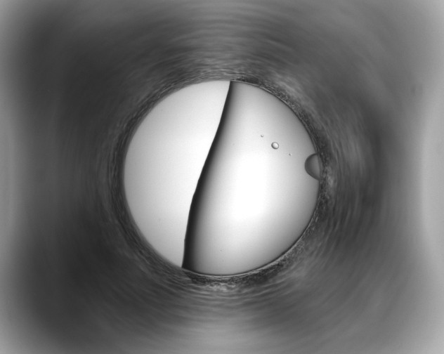 X0000088690691200705310958