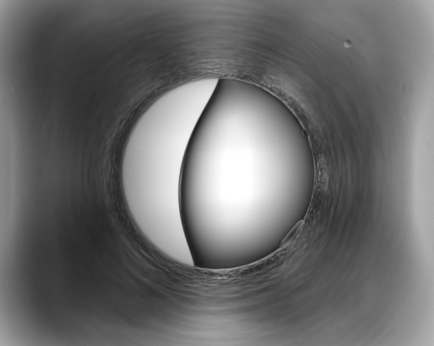 X0000088690692200705310958