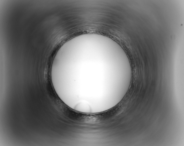 X0000088690698200705310958