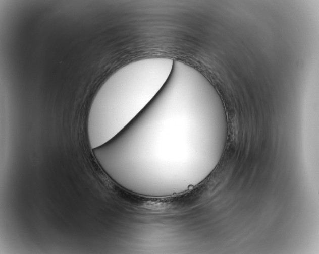 X0000088690699200705310958