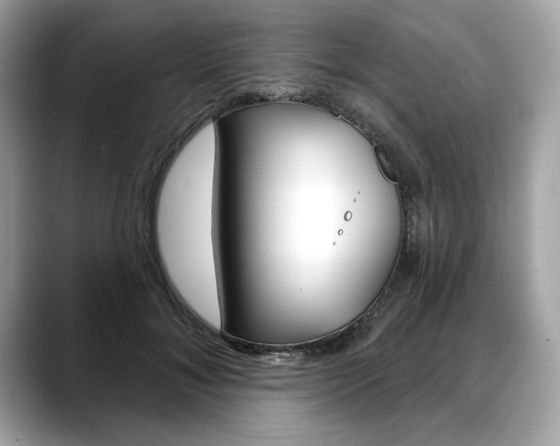X0000088690700200705310958