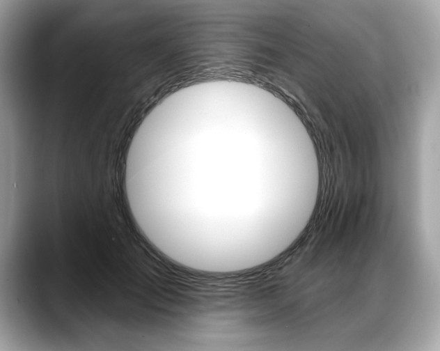X0000088690701200705310958