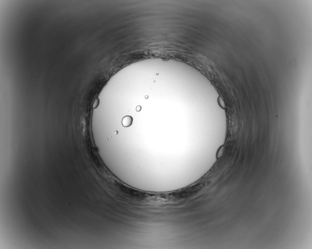 X0000088690703200705310958