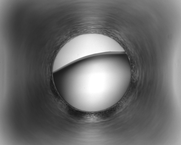 X0000088690704200705310958