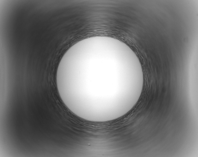 X0000088690705200705310958