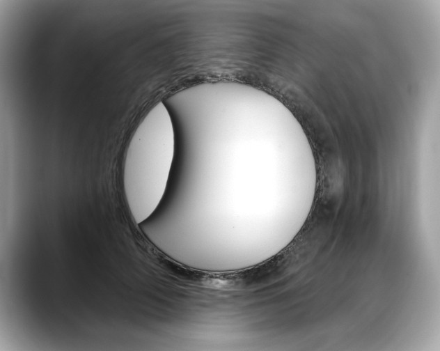 X0000088690706200705310958