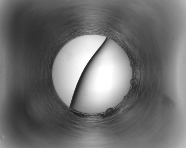X0000088690707200705310958