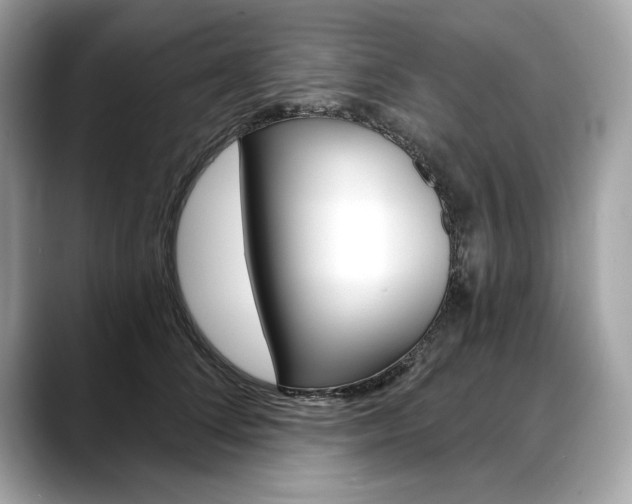 X0000088690708200705310958