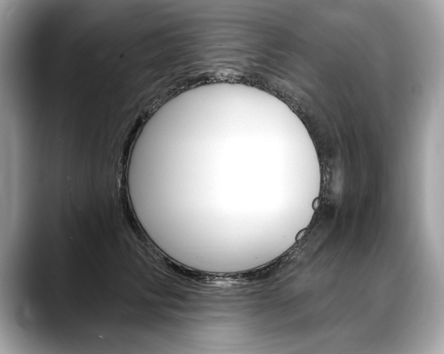 X0000088690710200705310958