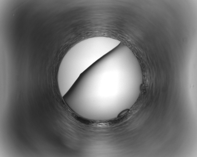 X0000088690711200705310958